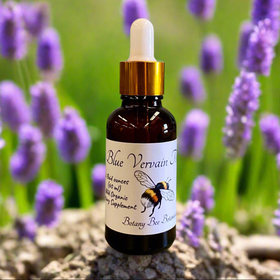 Blue Vervain Verbena Hastata Tincture
