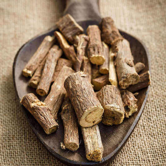 Wooden scoop filled with dried root pieces on a textured fabric background
