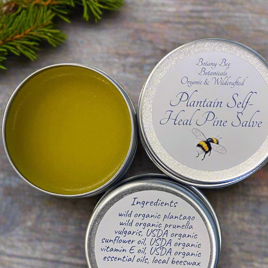 Organic Plantain, Self-Heal, Pine Salve with Vitamin E