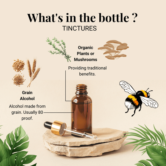 Infographic about Black Cohosh Tincture