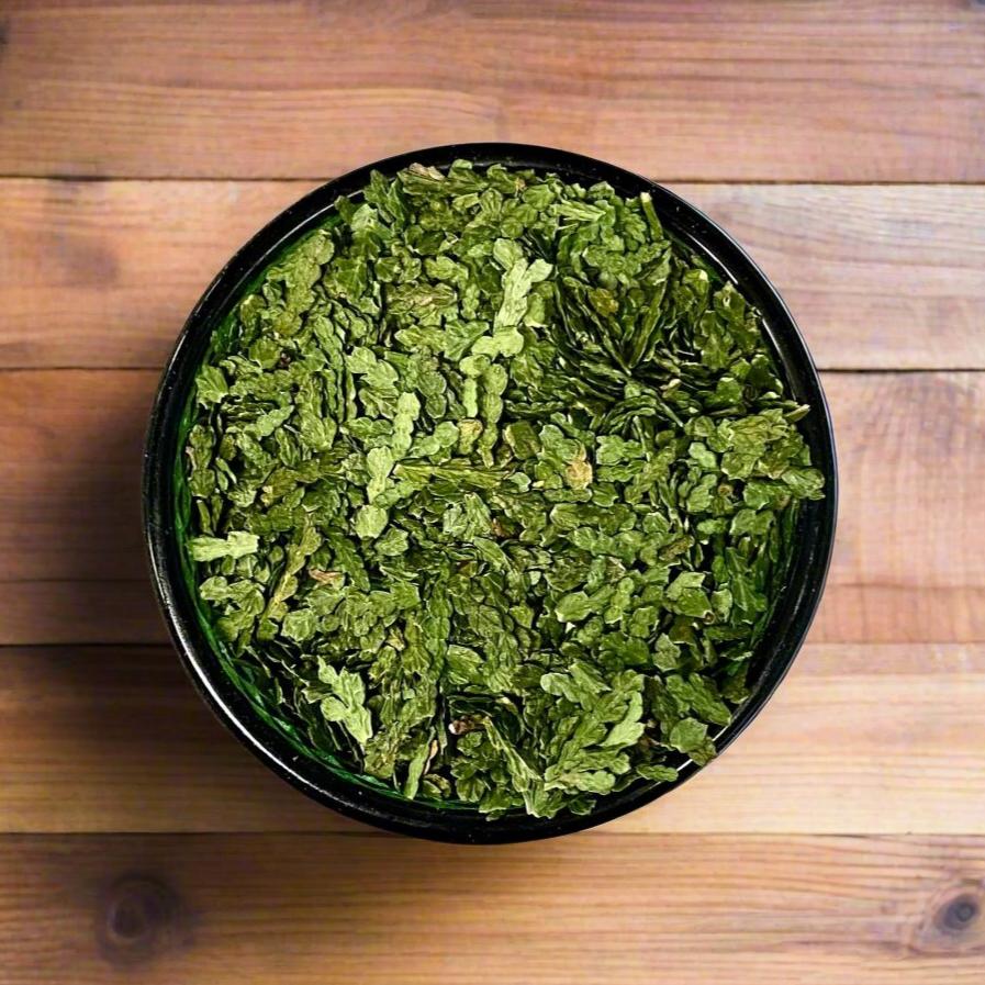 Eastern White Cedar, Thuja occidentalis, Organic, Shredded for Tea