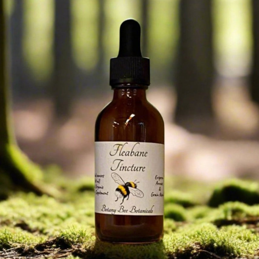 Fleabane Tincture