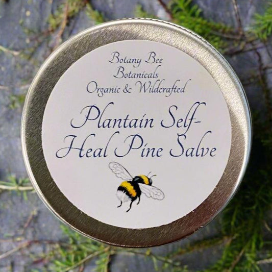 Organic Plantain, Self-Heal, Pine Salve with Vitamin E