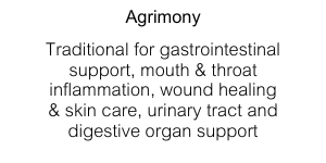 Agrimony Tincture, Wild Organic Agrimonia eupatoria Herbal Extract