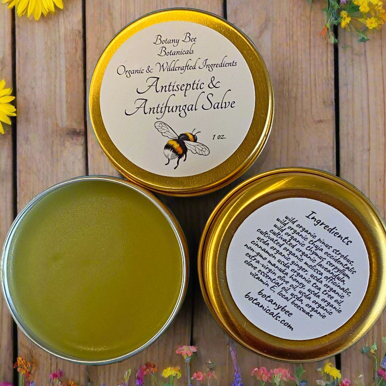 Antifungal Salve Small Tin