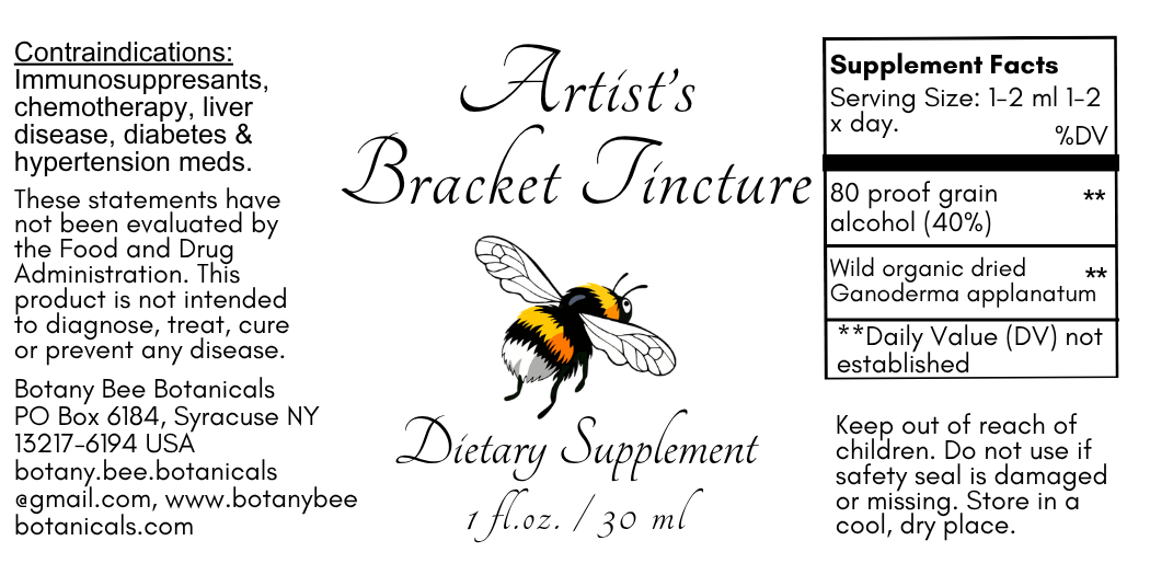 Artist's Bracket Mushroom Tincture, Wild Organic Ganoderma Applanatum Mushroom Extract