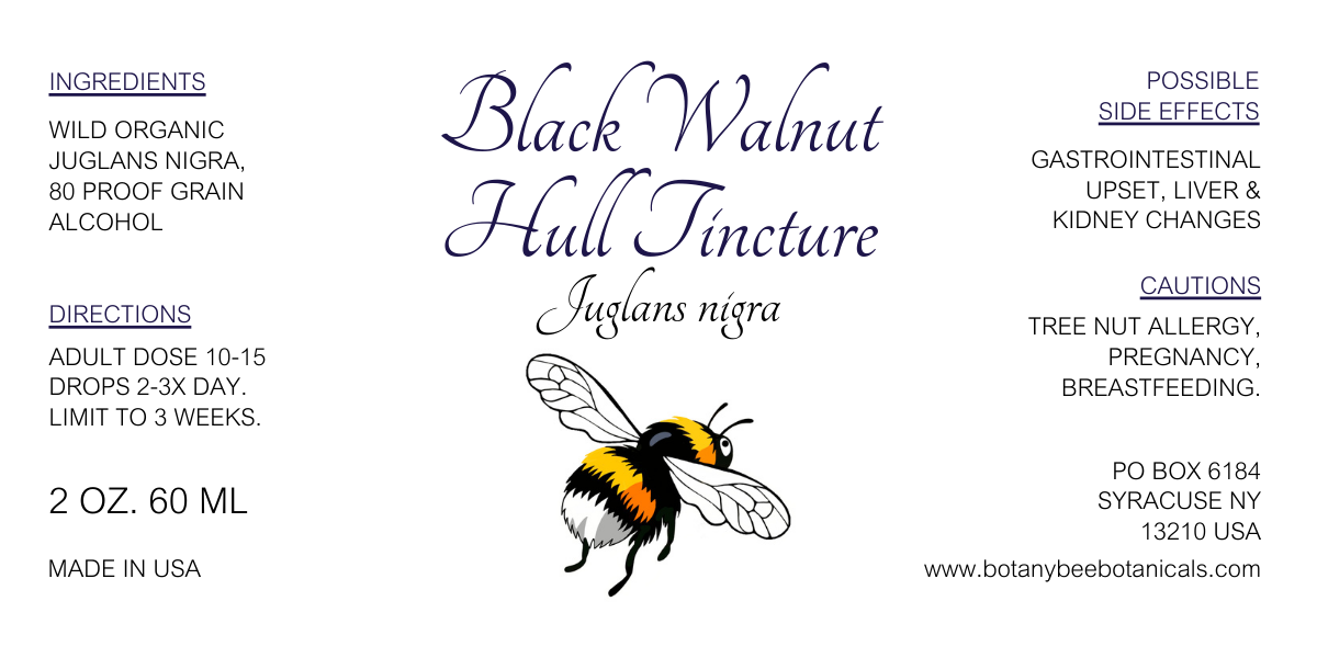 Label for Black Walnut Hull Tincture with a bee illustration on a white background