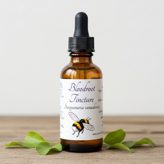 Label for Bloodroot Tincture with a bee illustration and text on a white background