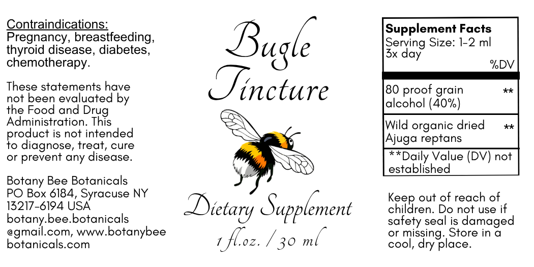 Bugle Tincture, Wild Organic Ajuga Reptans Herbal Extract