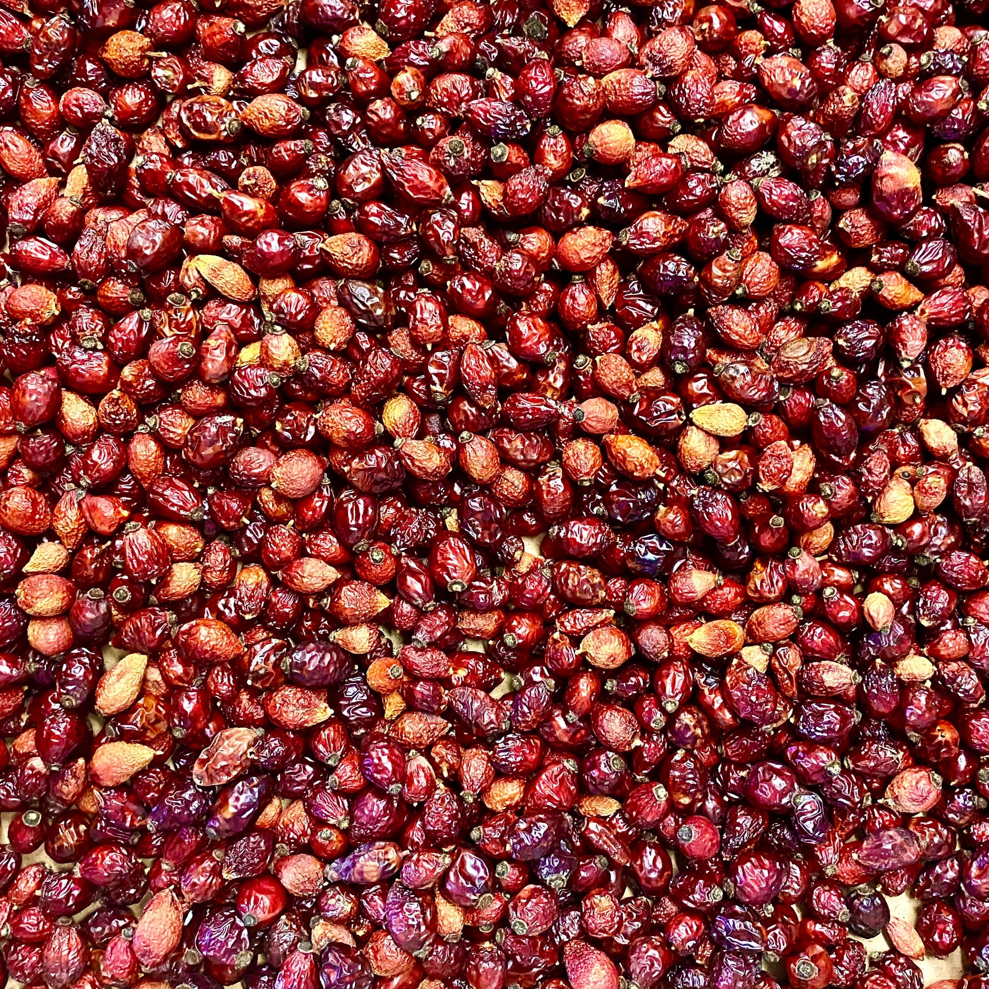Rose Hips
