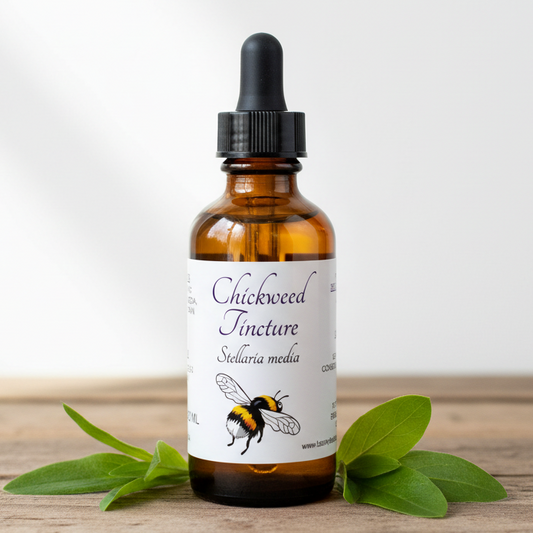 Label for Chickweed Tincture with a bee illustration on a white background