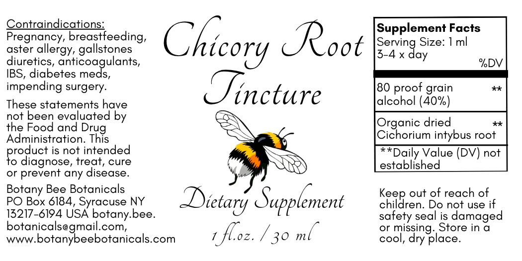 Chicory Root Tincture, Wild Organic Cichorium Intybus Extract