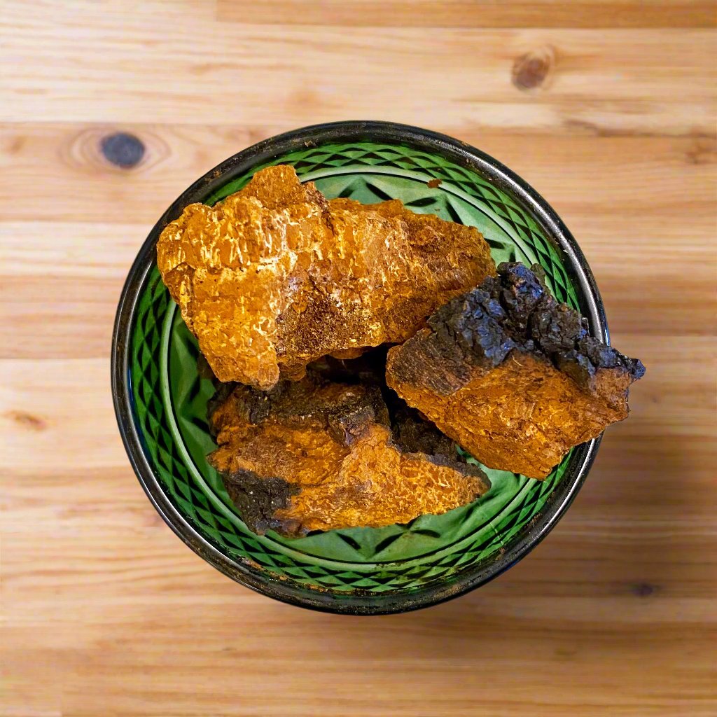 Chunk Chaga Mushroom