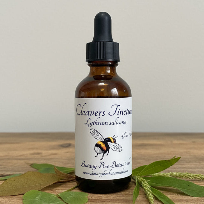 Cleavers Tincture, Wild Organic Galium aparine Herbal Extract