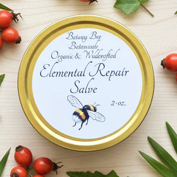 Gold lid of a container labeled 'Elemental Repair Salve' by Botany Bee Botanicals on a wooden surface.
