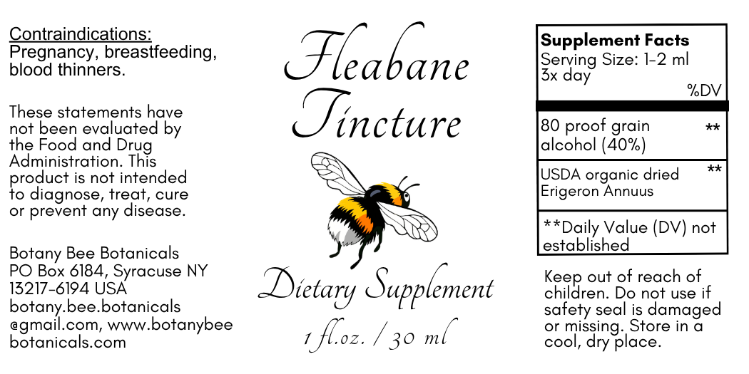 Fleabane Tincture, Wild Organic Erigeron Annuus Herbal Extract
