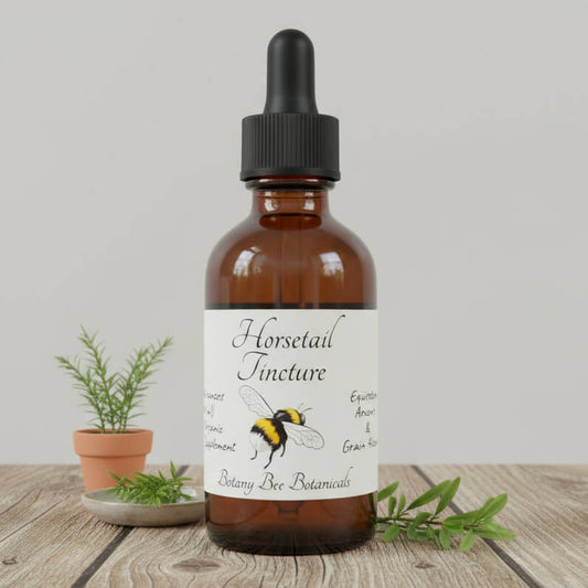 An amber glass dropper bottle labeled 'Horsetail Tincture' by Botany Bee Botanicals, styled on a wooden surface with small potted plants and greenery against a light gray background.