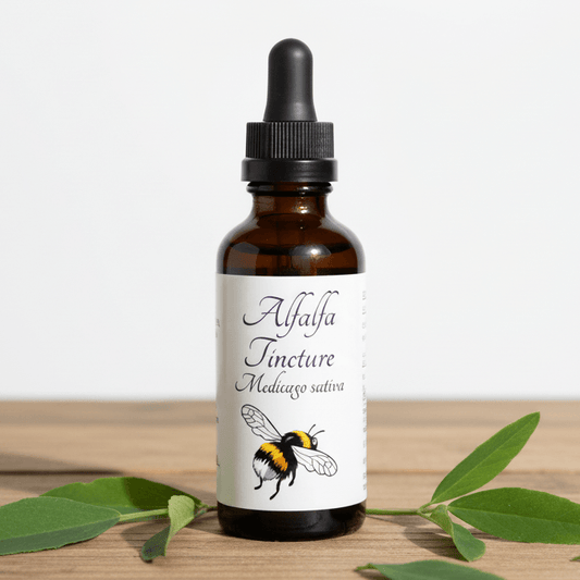 An amber glass dropper bottle labeled 'Alfalfa Tincture Medicago sativa' with a black dropper cap, placed on a wooden surface with green leaves around it against a white background.