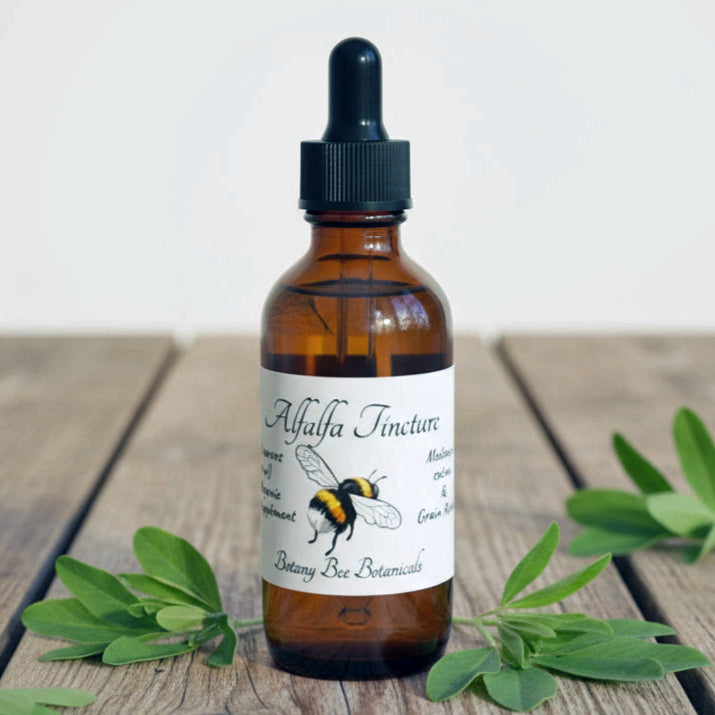 Alfalfa Tincture, Wild Organic Medicago sativa Herbal Extract