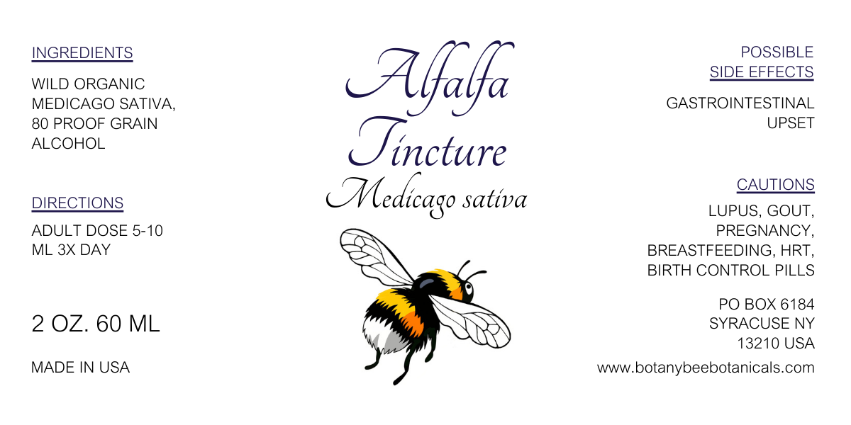 Alfalfa Tincture, Wild Organic Medicago sativa Herbal Extract