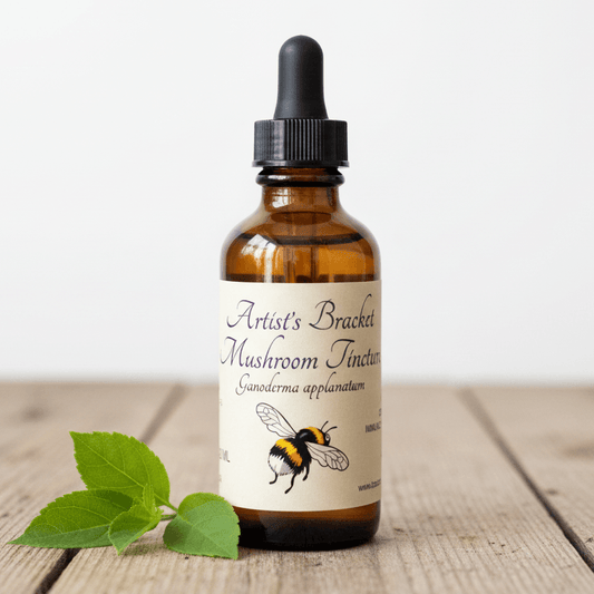An amber glass dropper bottle labeled 'Artist's Bracket Mushroom Tincture' with a black dropper cap, standing on a rustic wooden surface with green leaves in the foreground against a white background.