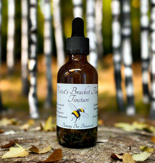 Artist's Bracket Mushroom Tincture