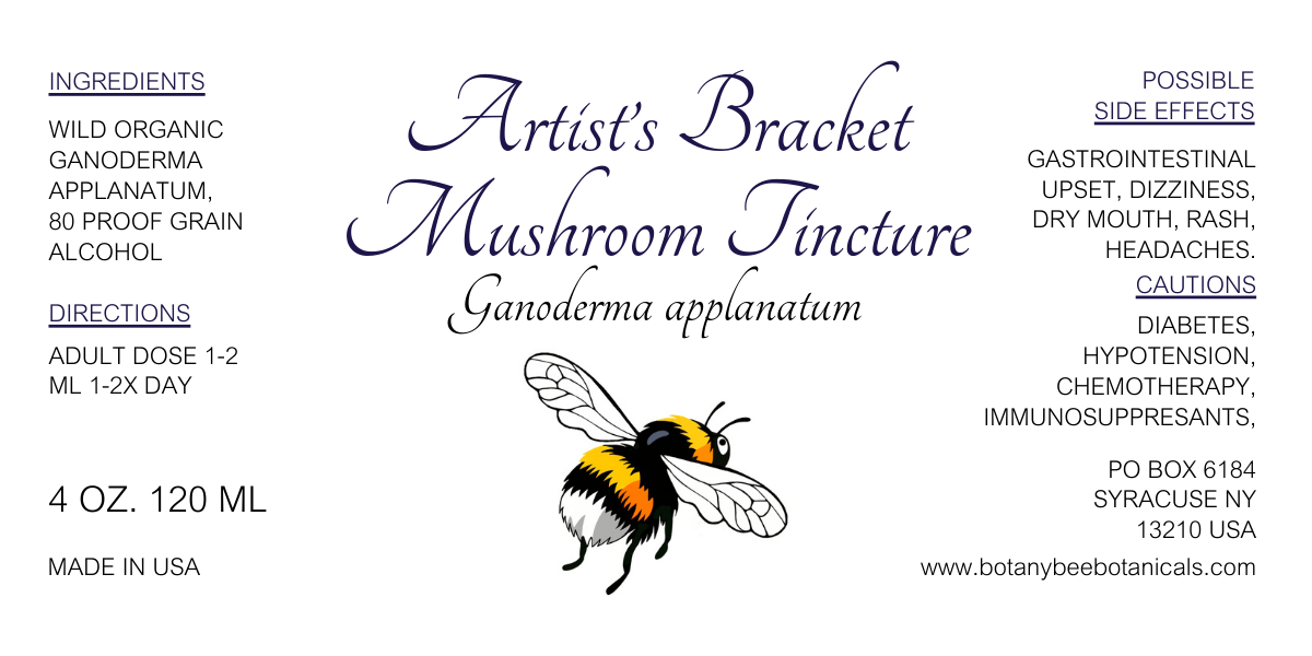 Artist's Bracket Mushroom Tincture, Wild Organic Ganoderma applanatum Mushroom Extract