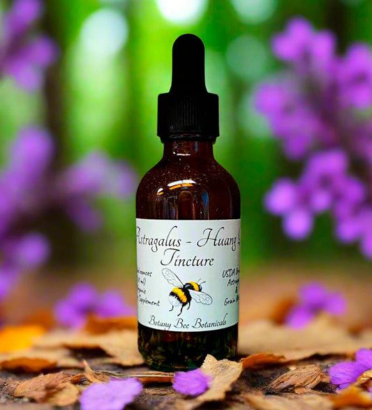Astragalus Tincture