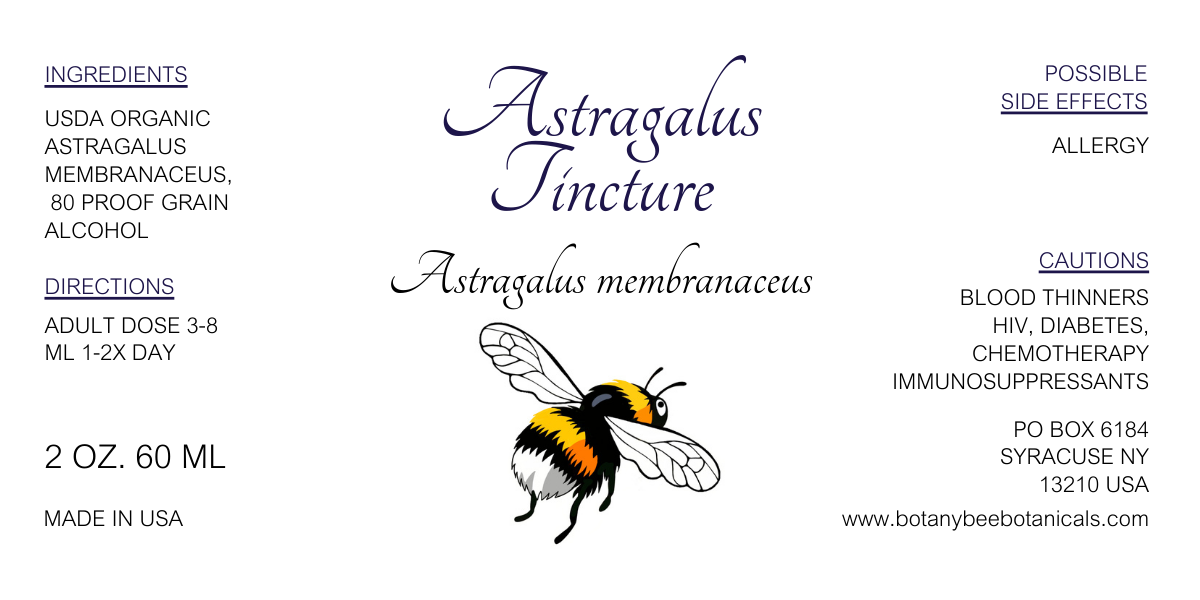 Astragalus Tincture, Huang Qi, Organic Astragalus membranaceus Herbal Extract