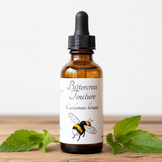 An amber glass dropper bottle labeled 'Bittercress Tincture' with a black dropper cap, placed on a wooden surface with green leaves on both sides against a plain light background.
