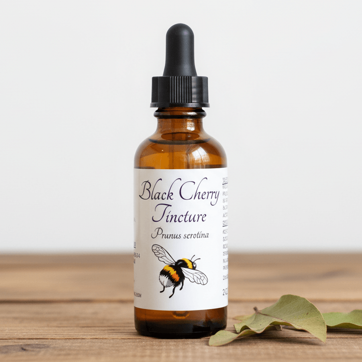 An amber glass dropper bottle labeled 'Black Cherry Tincture' with a black rubber dropper cap, standing on a wooden surface against a light neutral background. A small bumblebee illustration appears on the white label, and dried green leaves rest beside the bottle.