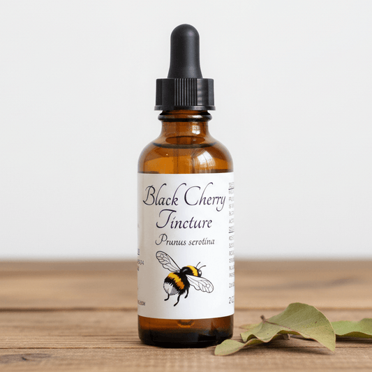 An amber glass dropper bottle labeled 'Black Cherry Tincture' with a black rubber dropper cap, standing on a wooden surface against a light neutral background. A small bumblebee illustration appears on the white label, and dried green leaves rest beside the bottle.