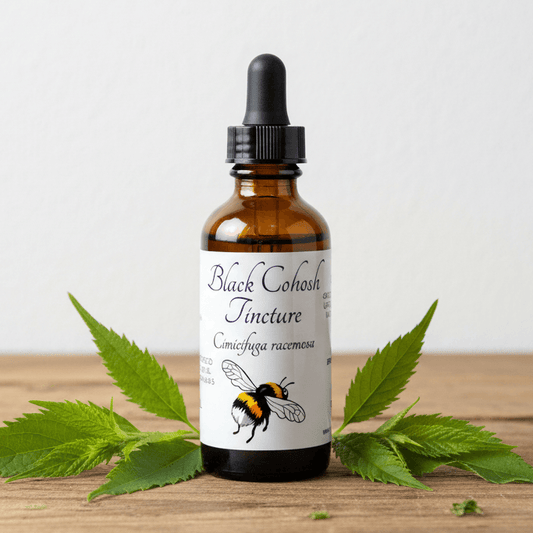 An amber glass dropper bottle labeled 'Black Cohosh Tincture' sits on a wooden surface with green leaves arranged around it against a plain light background.