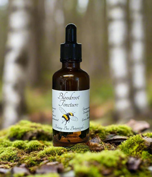 Bloodroot Tincture