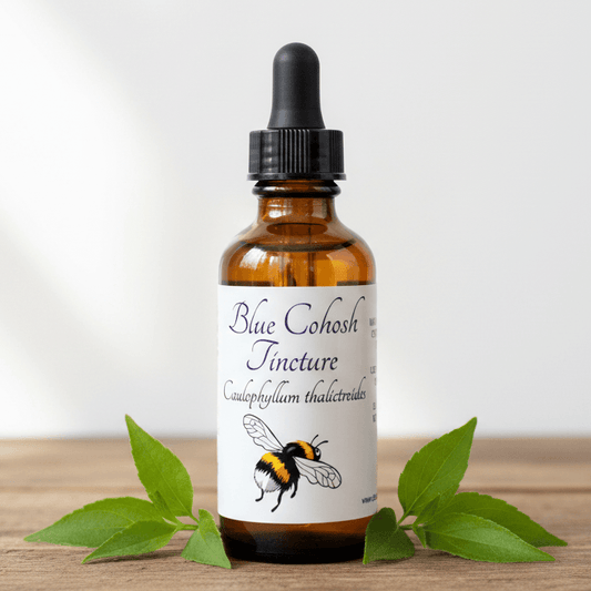An amber glass dropper bottle labeled 'Blue Cohosh Tincture' with a black dropper cap, standing on a wooden surface with green leaves around it against a soft white background.
