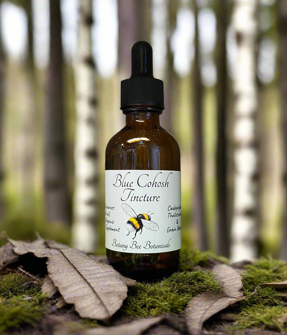 Blue Cohosh Tincture