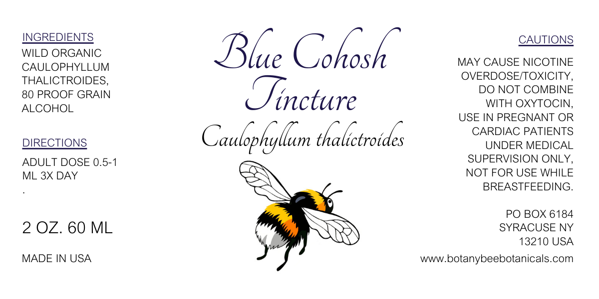 Blue Cohosh Tincture, Wild Organic Caulophyllum thalictroides Herbal Extract