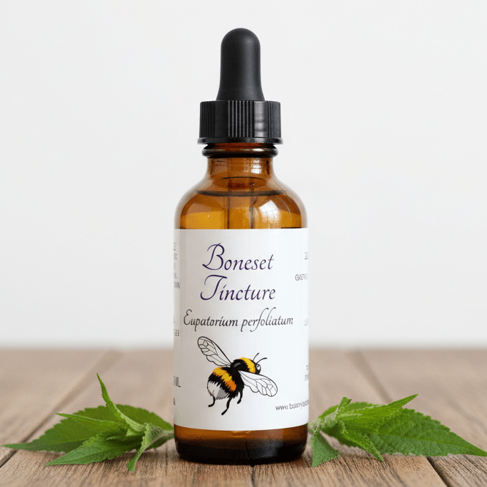 An amber glass dropper bottle labeled 'Boneset Tincture' with a black cap, standing on a wooden surface with green leaves around it against a plain light background.