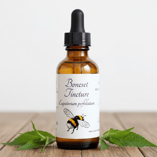 Boneset Tincture, Wild Organic Eupatorium Perfoliatum Herbal Extract