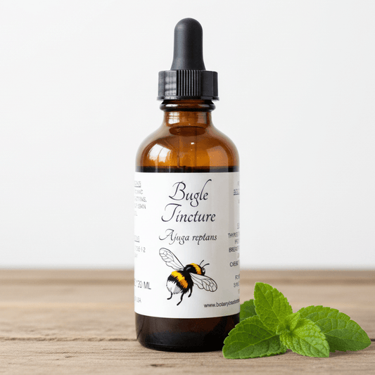 An amber glass dropper bottle labeled 'Bugle Tincture' with a black cap, standing on a light wood surface against a white background, with green mint leaves at the base.