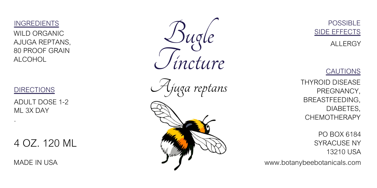 Bugle Tincture, Wild Organic Ajuga reptans Herbal Extract