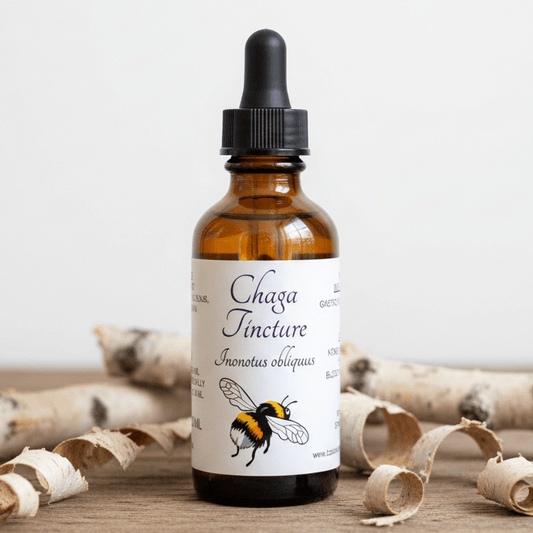 Chaga Mushroom Tincture, Wild Organic Inonotus Obliquus Mushroom Extract