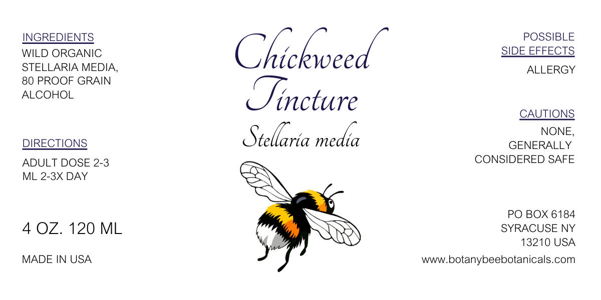 Chickweed Tincture, Wild Organic Stellaria media Herbal Extract