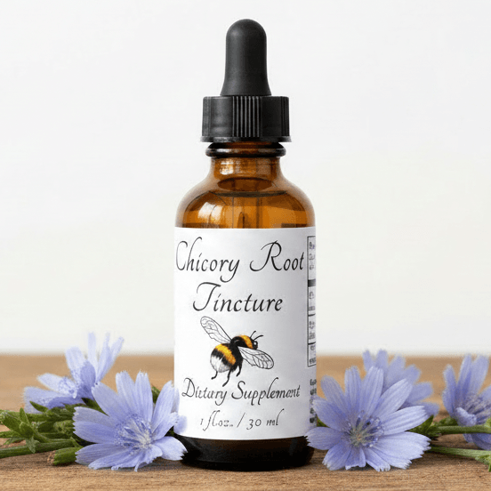 An amber glass dropper bottle labeled 'Chicory Root Tincture' with a black cap, centered on a wooden surface with light purple flowers around it against a plain light background.