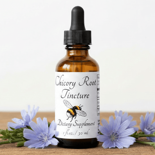 An amber glass dropper bottle labeled 'Chicory Root Tincture' with a black cap, centered on a wooden surface with light purple flowers around it against a plain light background.