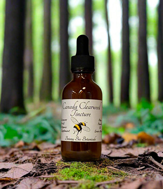 Clearweed-Tincture