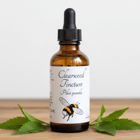 An amber glass dropper bottle labeled 'Clearweed Tincture' with a black dropper cap, standing on a wooden surface with green leaves around it against a light neutral background.