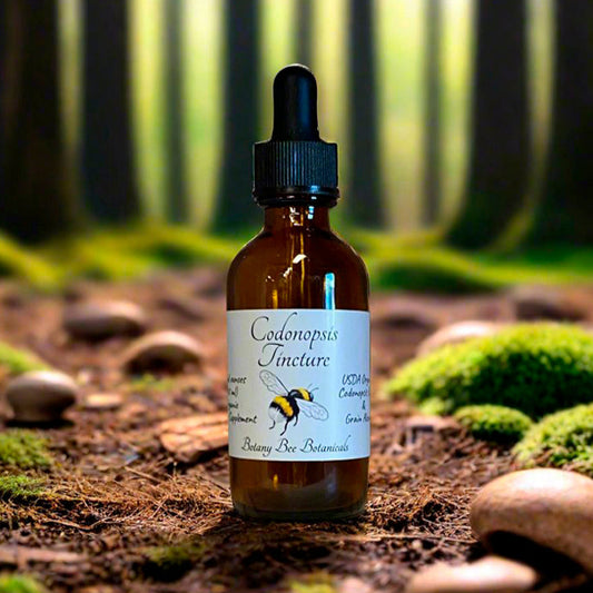 Codonopsis Tincture