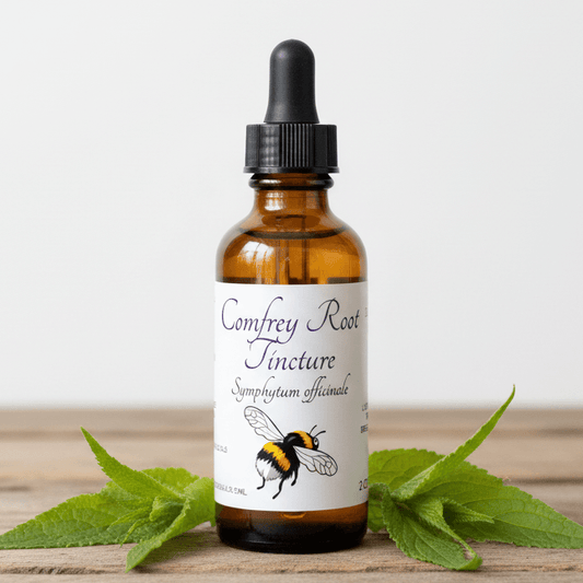 An amber glass dropper bottle labeled 'Comfrey Root Tincture' with a black cap, standing on a wooden surface with green leaves around it against a light gray background.