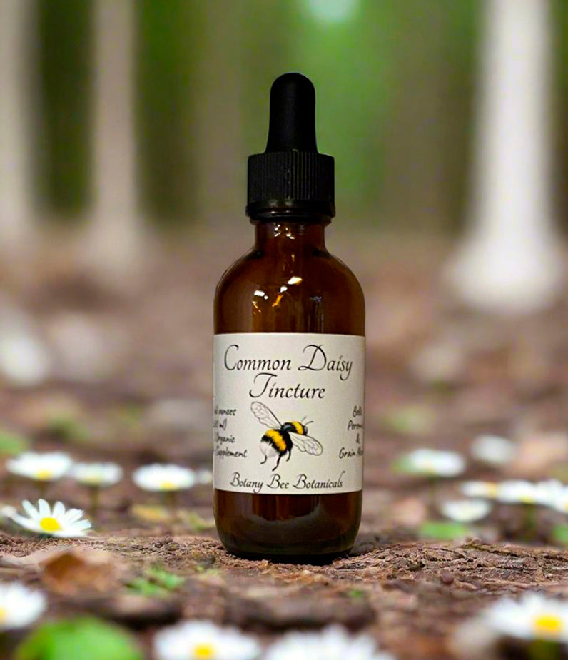 Daisy Tincture